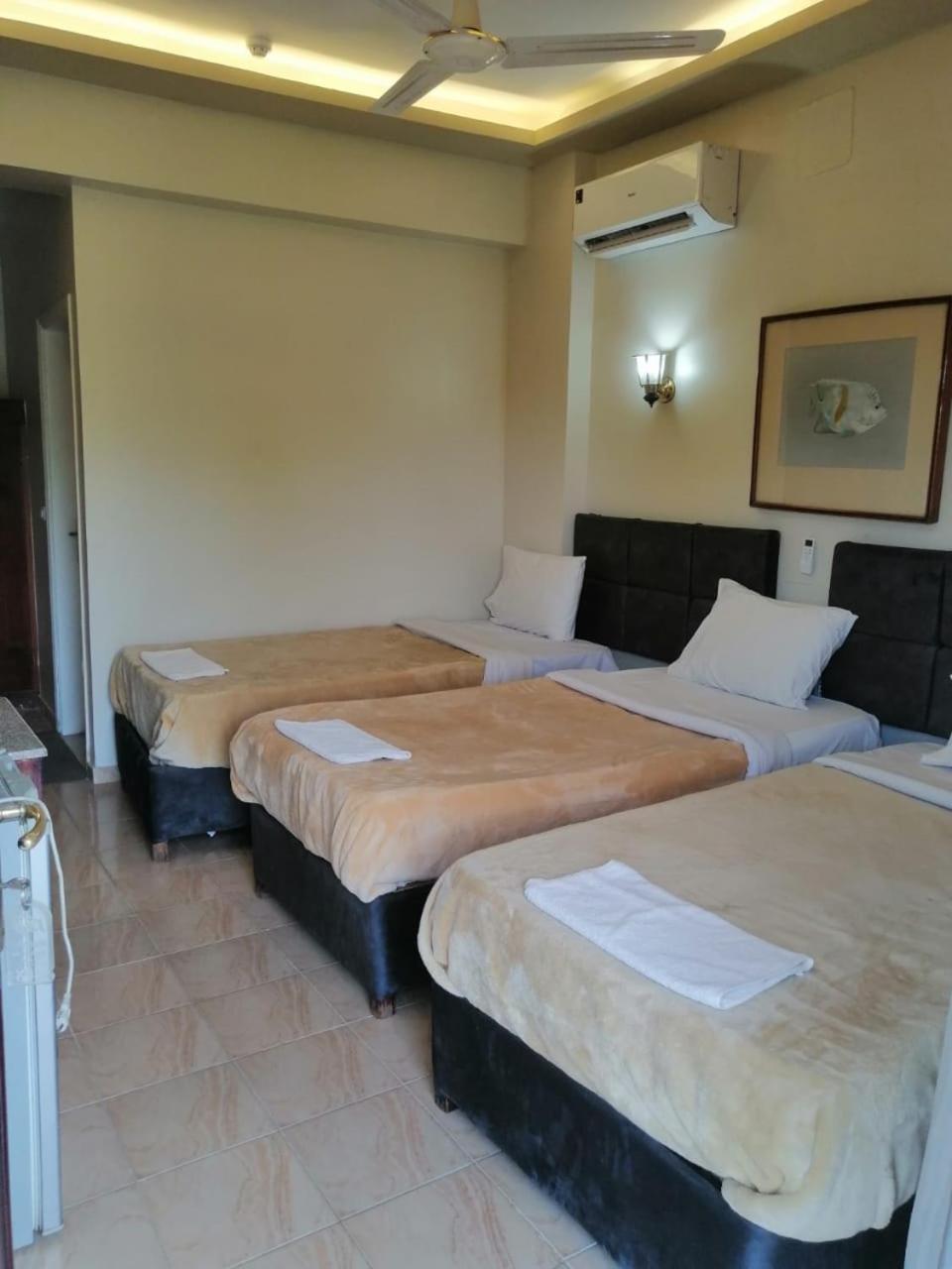 Rezeiky Hotel & Camp Luxor Exterior photo